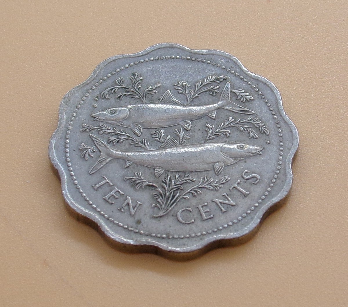 コレクション 1974 BAHAMAS 10CENTS 1975 Commonwealth of the Bahamas Ten Cents | eBay