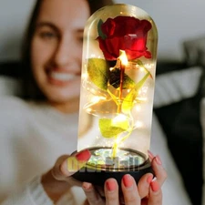 LED Eternal Love Flower Rose in Glass Dome Rose Light Up Flower Gifts for Her
