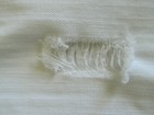 Foto 9 di 9