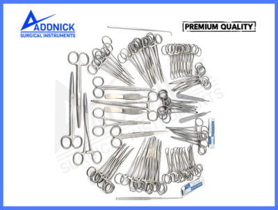 Set Di Modelli Di Cranio Felino E Canino IM3 - Foto 8