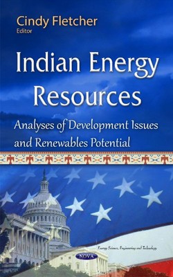 Indische Energieressourcen: Analysen von Entwicklungsproblemen & Potenzial erneuerbarer Energien b