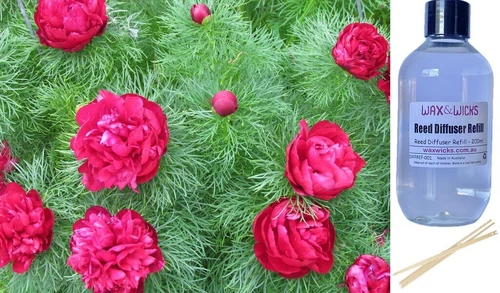 PEONY FERN - Reed Diffuser Refill