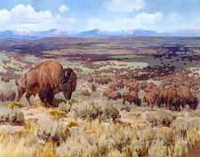 Bull Bison Oil painting Wall art Giclee Printed on Canvas P2311