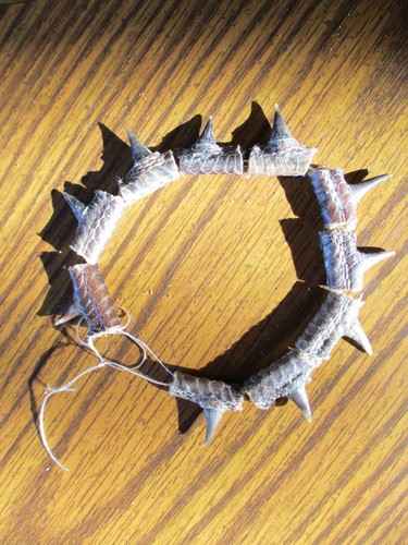 10 Real WILD pheasant SPURS BIRD SPUR art craft claw mount bird