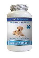 dog skin supplements - DOGS IMMUNE SUPPORT - dog turmeric chews 1B