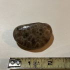 Picture 6 of 10