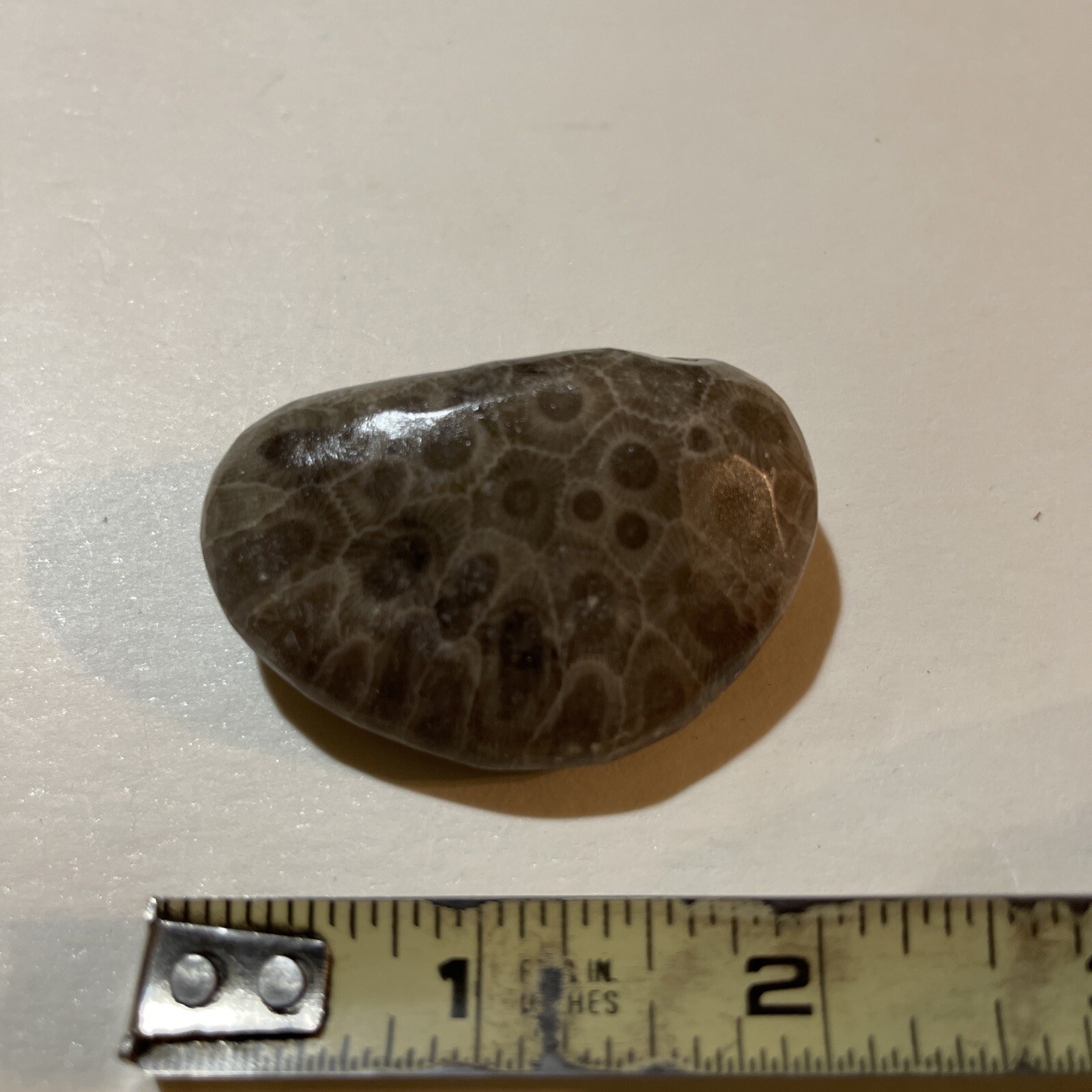 Picture 6 of 10