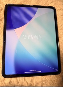 iPad 12 Pro Max | eBay