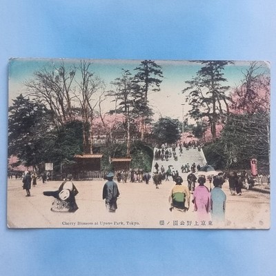 Japan Postkarte um 1910 Tokio Kirschblüte Uyeno Park Asien