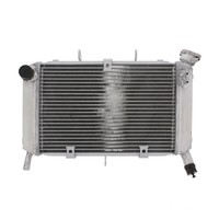 Wasser KüHler FüR Yamaha FZ6 S2 600 Sahg Fazer ABS Bj. 2007-2010
