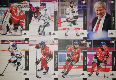 DEL Playercards 2025/2026 25/26 Augsburger Panther  Einzelkarten zum aussuchen