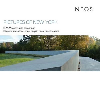 D.M. VISOTZKY/BEATRICE ZAWODNIK - Pictures of New York