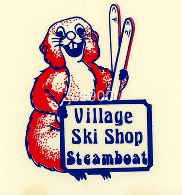 VINTAGE VILLAGE SKI SHOP STEAMBOAT COLORADO ORIGINAL TRAVEL DECAL STICKER CUTE