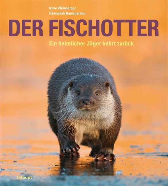 Der Fischotter Ein Heimlicher Jäger Kehrt Zurück Irene Weinberger (u.