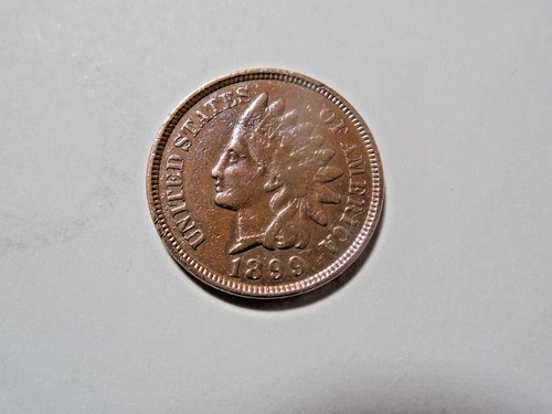 1899 Indian Head Cent in VF-XF condition. Diamonds! But you decide!!!!!!!