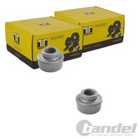 2X Tedgum Querlenkerlager Buchsen Hinten Vorne Passend FüR Hyundai Galloper Mits