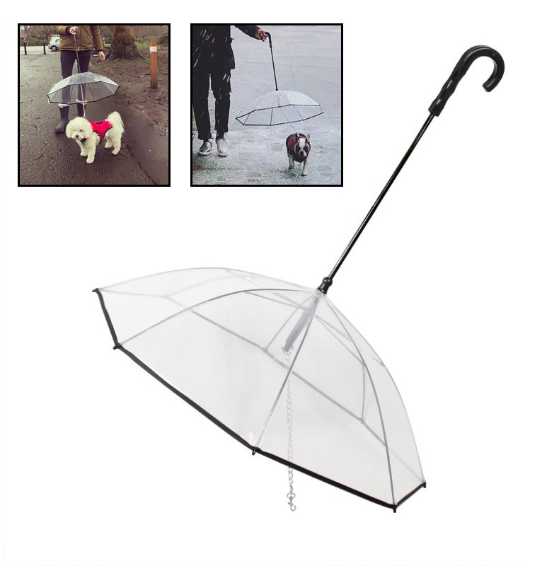 Parapluie pour chien transparent contre la pluie fini le pelage mouillé