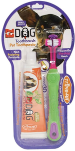 small dog toothbrush and toothpaste