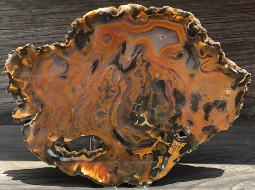 High Grade Piranha Agate - Brazil 5.25"x4" Agate Lapidary Rough Slab Cabbing - Picture 2 of 17