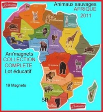 BROSSARD SAVANE Lot Magnets