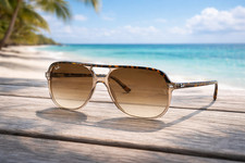 Ray-Ban Sunglasses RB2198 129251 BILL Havana brown Unisex