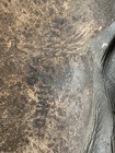 Bild 6 von 20