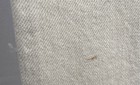 Frame Women's NWT Le Jane Studded High Rise Straight Jeans Ivory Size 24 — photo 10