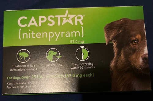 A closer look at Learn About Fast Treatments Like Capstar
