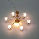 Bild 8 von 8