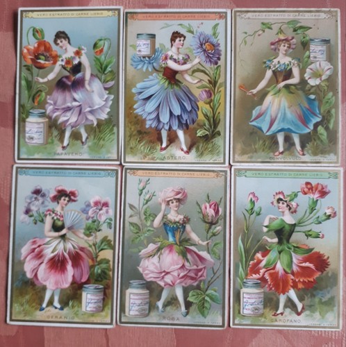 LIEBIG S 268/UNIF 263 : COMPL. 6 figurini DONNE FIORI III ed.ITALIANO 1890