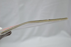 Electronic Gaming Monthly Magazine No 23 June 1991 Video Games NES Sega Atari