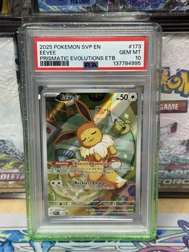2025 POKEMON SVP EN-SV BLACK STAR PROMO #173 EEVEE PSA 10