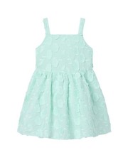 Janie And Jack Floral Appliqu  Dress