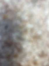 ROBLOX MURDER MYSTERY 2 | check description