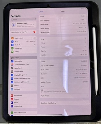 APPLE IPAD PRO 13'' M4 CHIP 256G WIFI + 5G LTE CELLULAR MVXR3LL/A A29 (PD3047186)