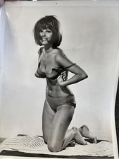 U.S. Army Vietnam War GI collection of Pin-up Photograph of Unnamed Model #1