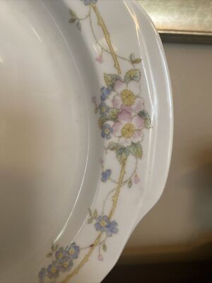 Porcelaine Fine De Boheme Carlsbad Antonia #67 Serving Plate | eBay