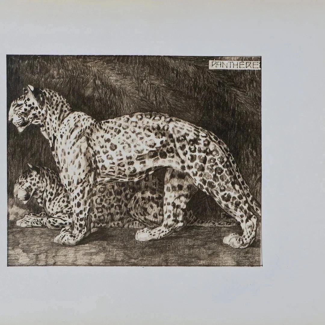 Mathurin Meheut: The Panther, Lithograph, 1911 thumbnail 5
