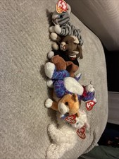 Ty Beanie Babies Cat Bundle. 6 Cats
