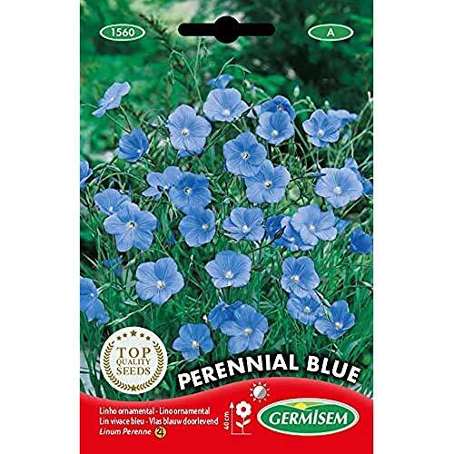 Germisem Perennial Blue Semi di Biancheria 1.5 g (j1T)