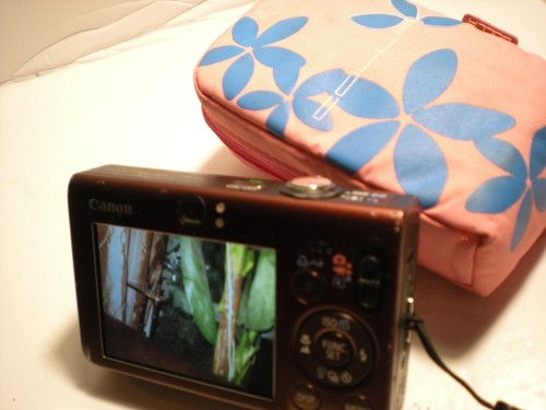 Canon PowerShot SD1100 IS Digital ELPH 8.0MP 3x Digital Camera Red - Picture 17 of 19