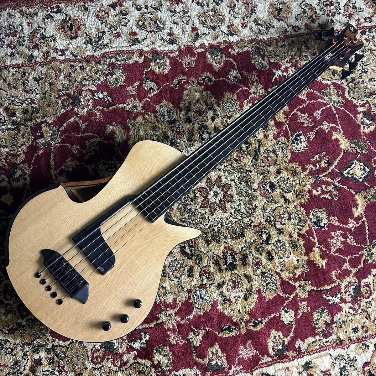 5 string 2024 semi hollow bass