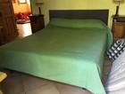 Grand Dessus De Lit Vert 250x250cms