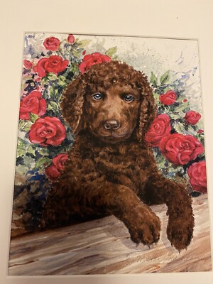 Irish Water Spaniel Puppy Ltd Ed 8x10 Print Signed Van Loan
