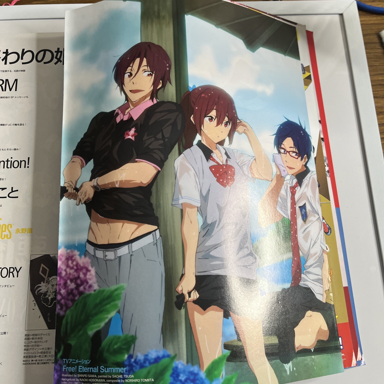 Newtype Magazine June 2014 Chaika The Coffin Princess Japanese Anime Manga