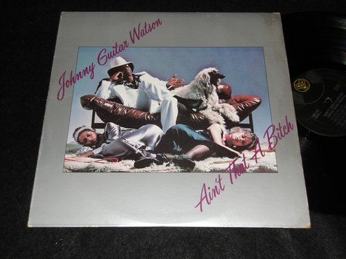 JOHNNY GUITAR WATSON Ain't That A Bitch Classic Misogynist Cover LP 1976 R&B