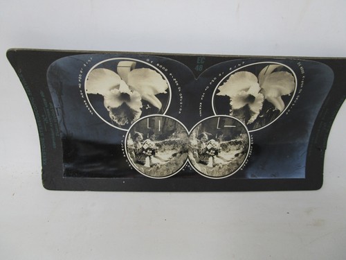 Keystone Eye Comfort and Depth Perception Series Stereoview Card Lot - Picture 10 of 13