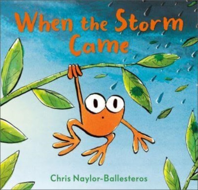 When the Storm Came by Chris Naylor-Ballesteros (Hardback Book)