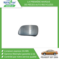 Glace de rétroviseur Peugeot 307