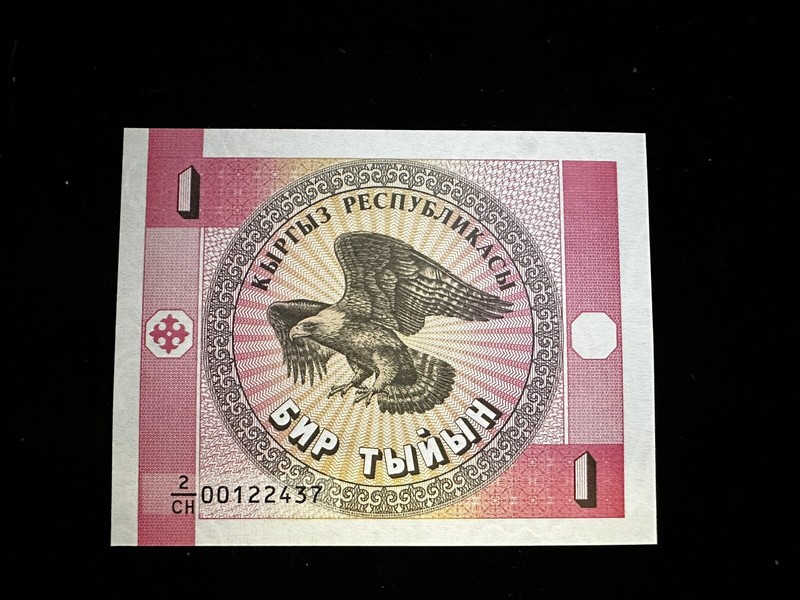 Kyrgyzstan one tyiyn 1993 - Nt81